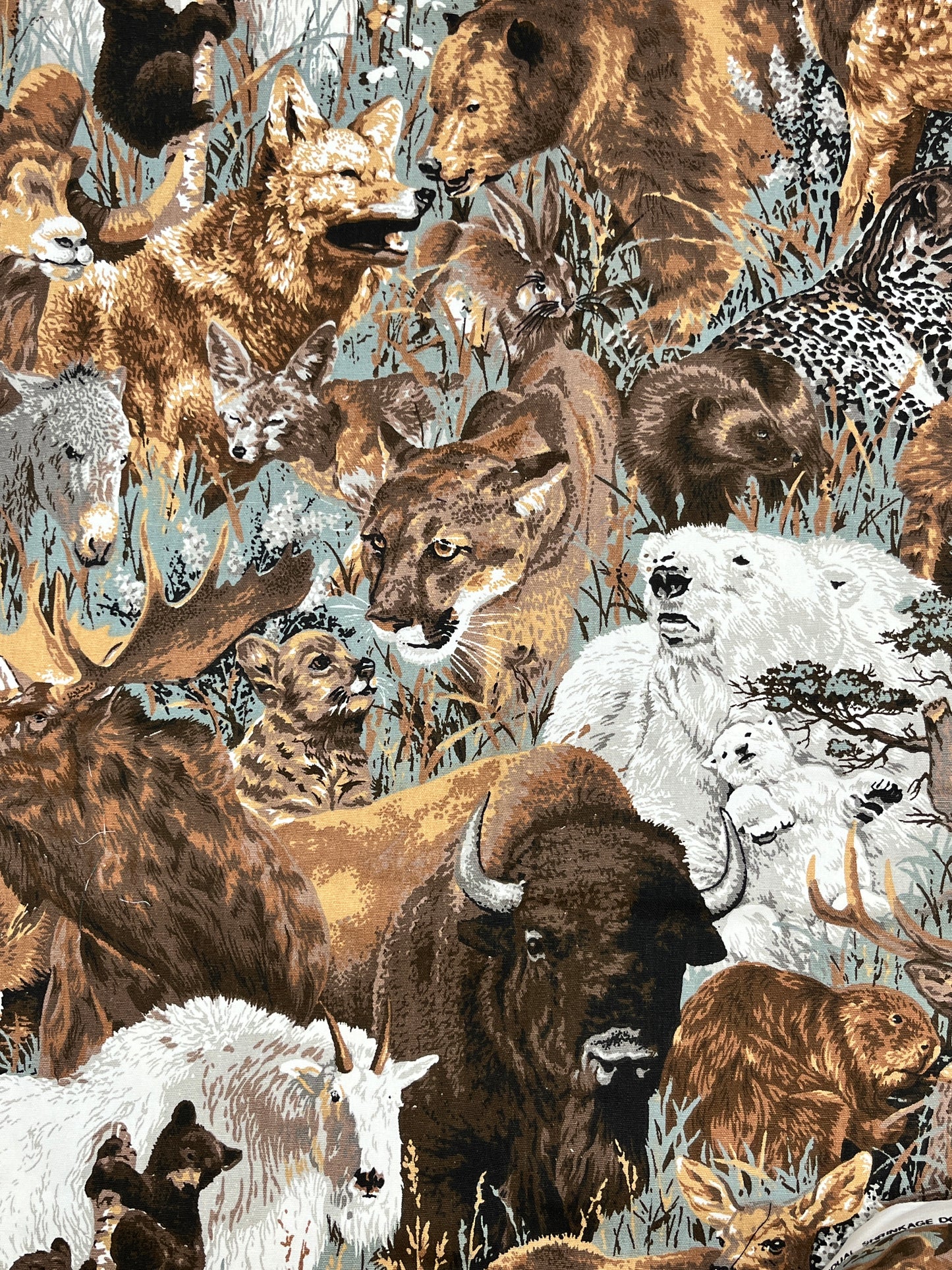 1 2/3 Yards Cotton Canvas