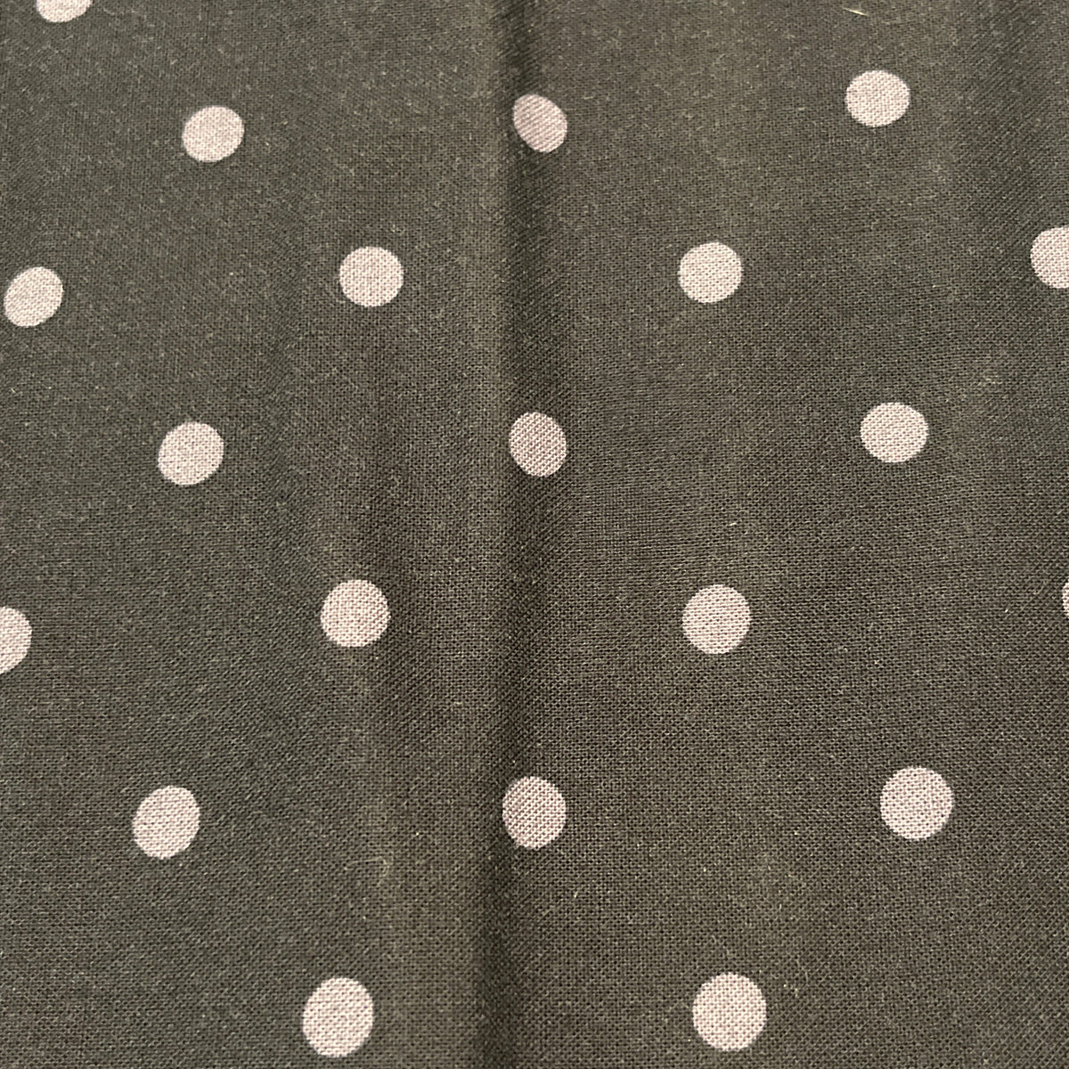 1 1/4 Yard Michael Miller Premium Quilting Cotton