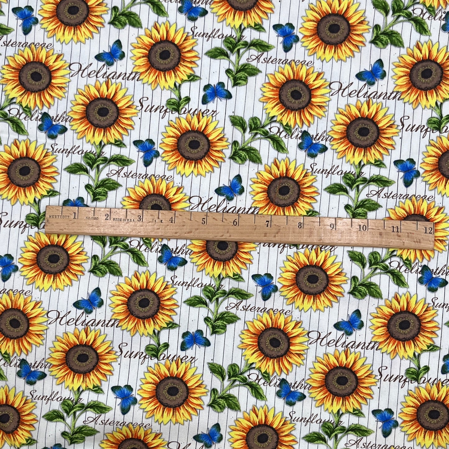 1 Yard Sunflower & Butterfly Cotton Canvas, Hobby Lobby Exclusive