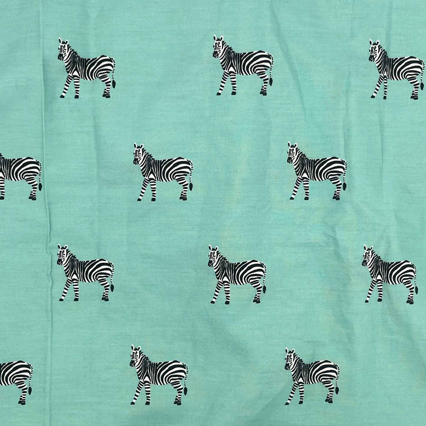 Aqua Zebra Cotton Twin Flat Sheet – Martha Stewart, 100% Cotton