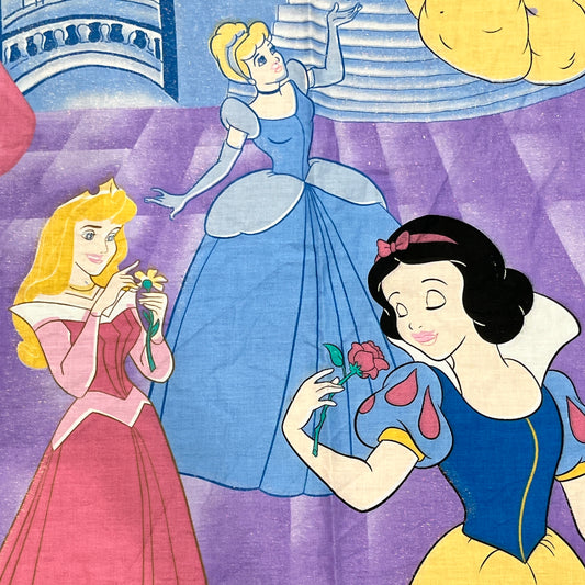Disney Princess Panel